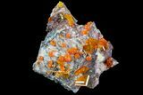 Wulfenite Crystal Cluster - Rowley Mine, AZ #76890-1
